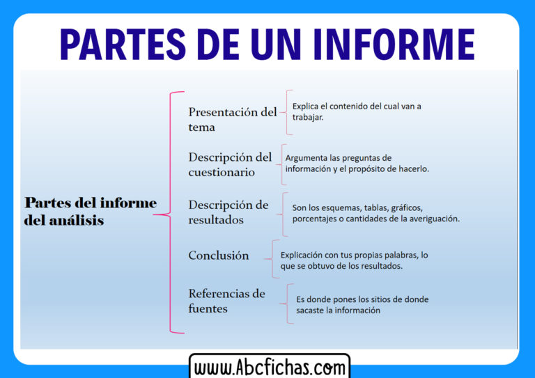 Las Partes De Un Informe Estructura De Un Informe