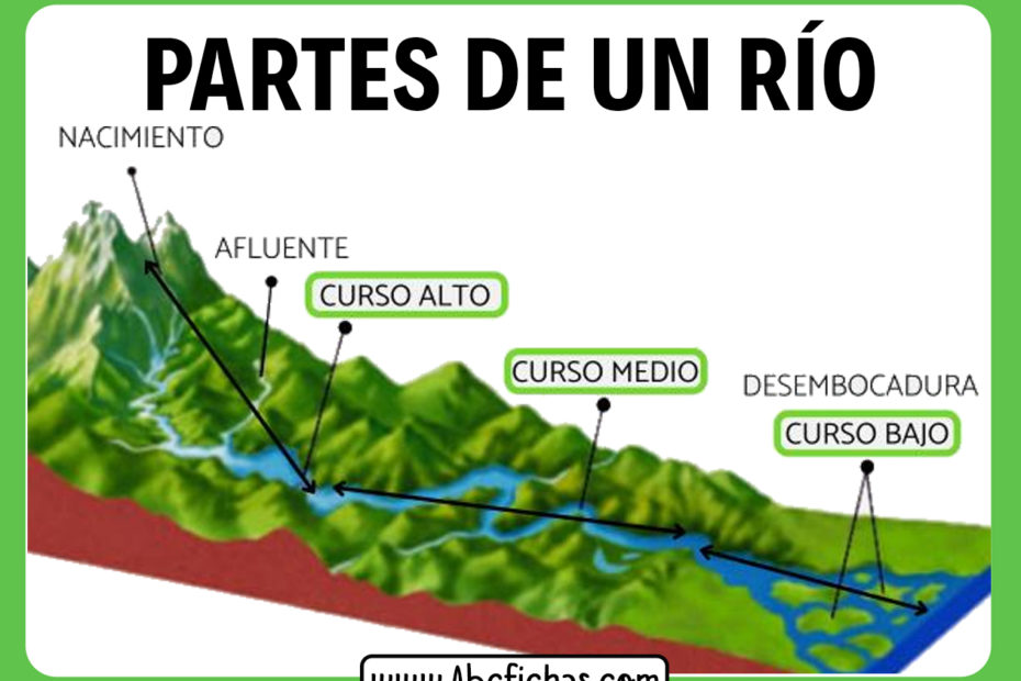 Las partes de un rio