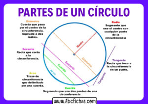 Las partes de un circulo