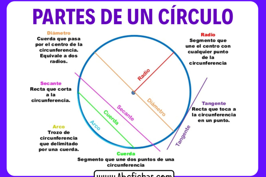 Las partes de un circulo