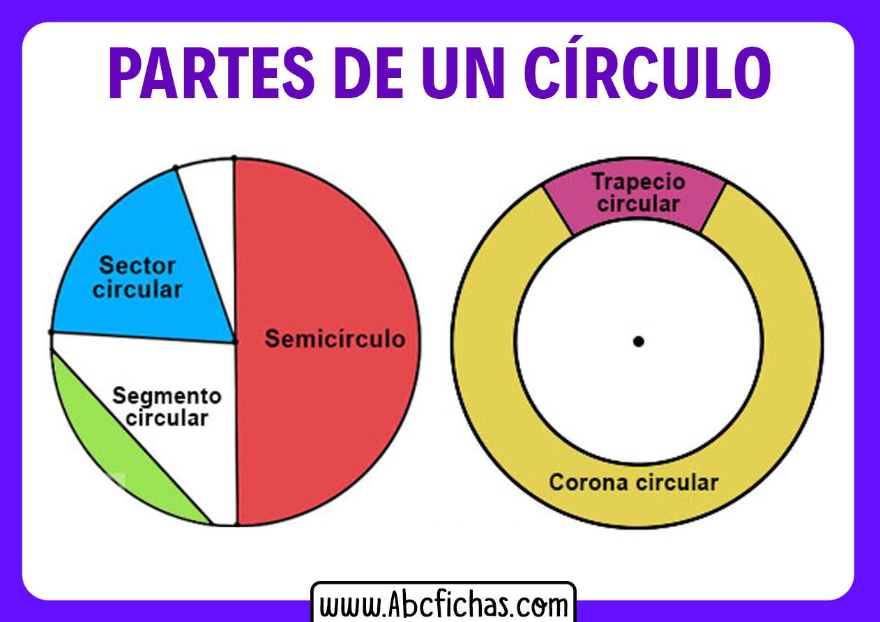 Los elementos de una circunferencia