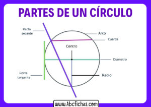 Partes de un circulo