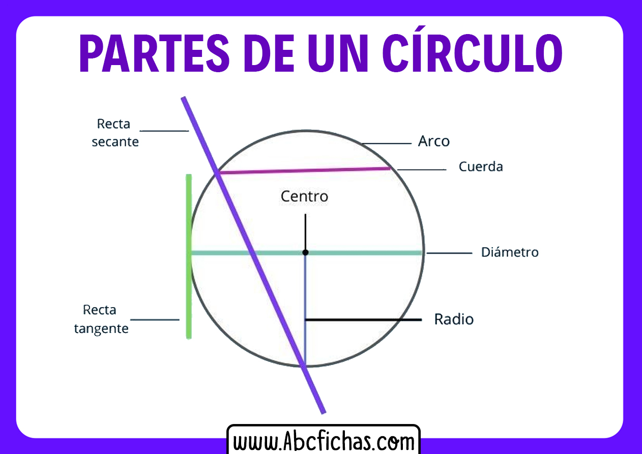 Partes de un circulo