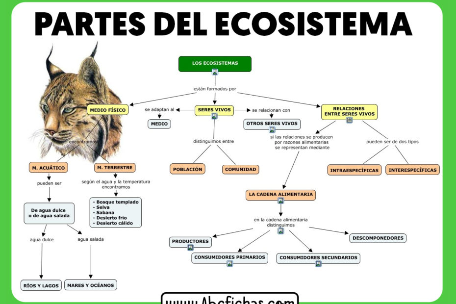 Partes de un ecosistema