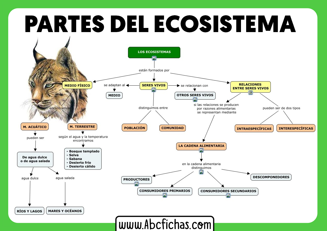 Partes de un ecosistema