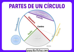 Pârtes de una circunferencia