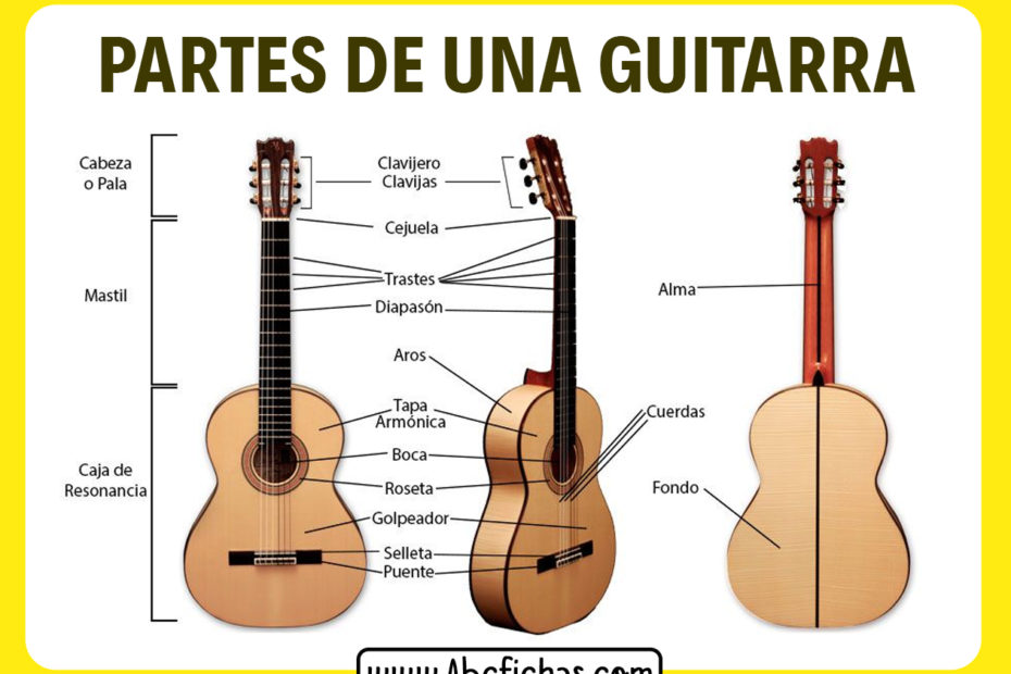 Partes de una guitarra