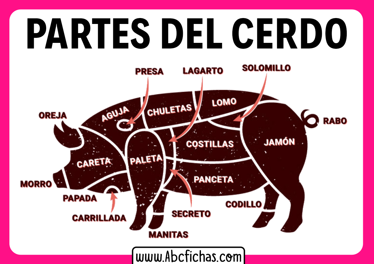 Partes del cerdo carniceria