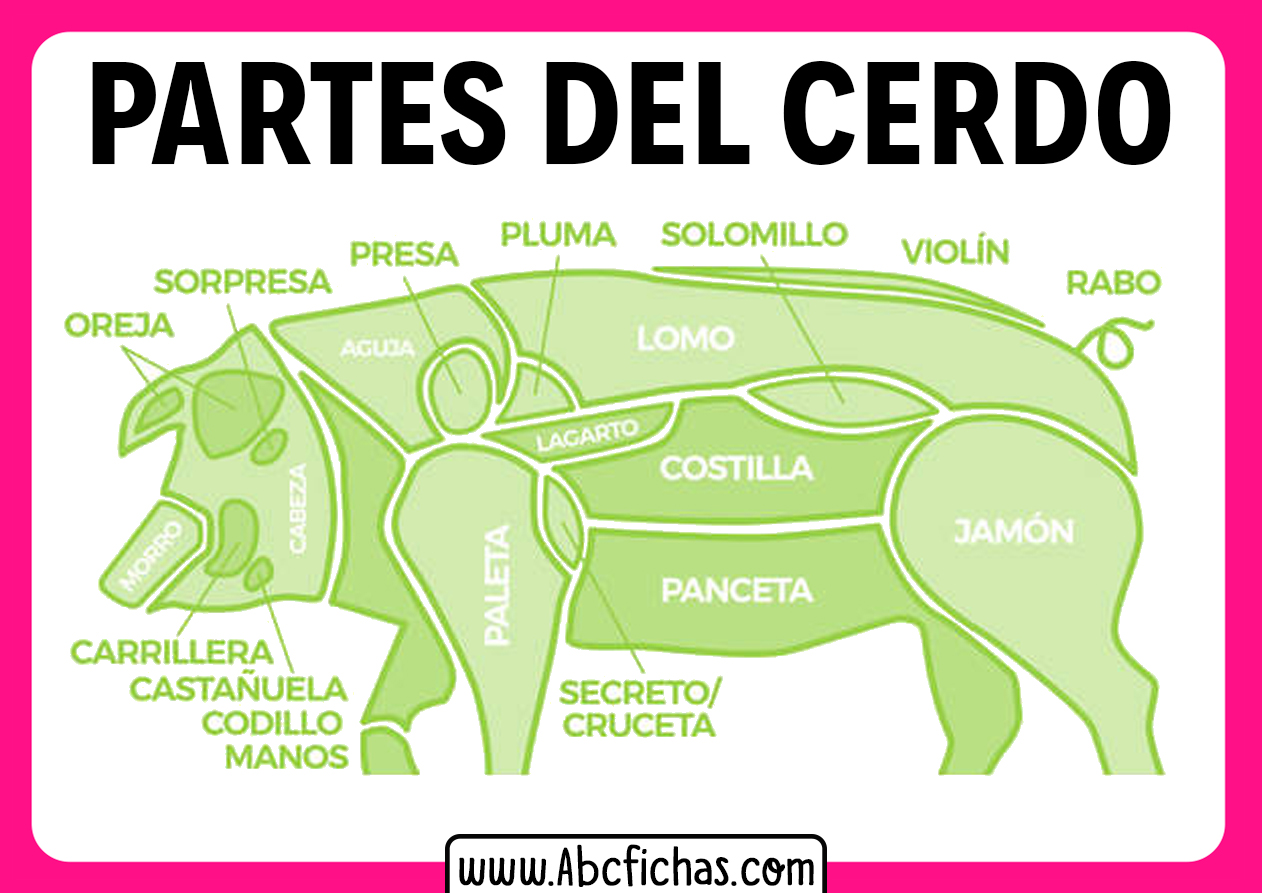 Partes del cerdo comestibles