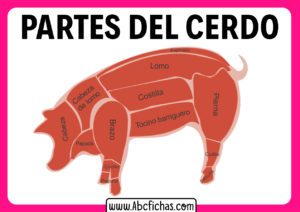 Partes del cerdo que se comen