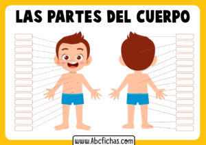 Partes del cuerpo para niños para completar