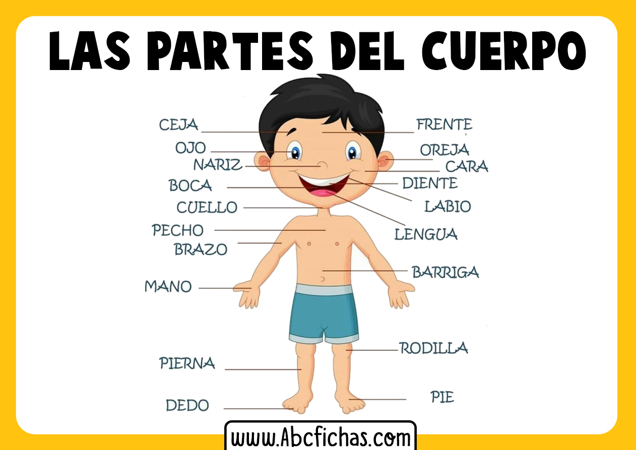 Partes del cuerpo para niños