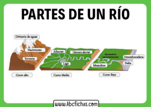 Partes del rio