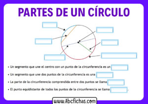 Partes del circulo sin nombres para completar