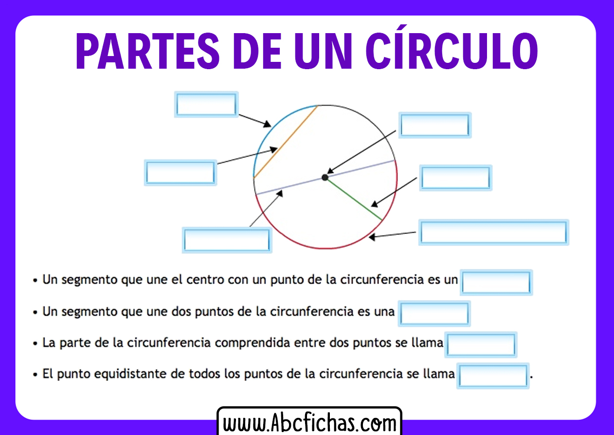 Partes del circulo sin nombres para completar