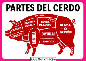 Partes que se comen del cerdo