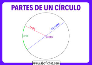 Partes y elementos de un circulo