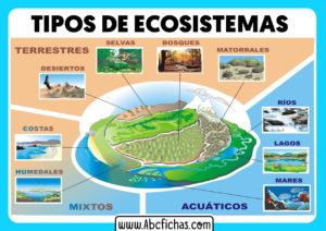 Tipos de ecosistemas que existen