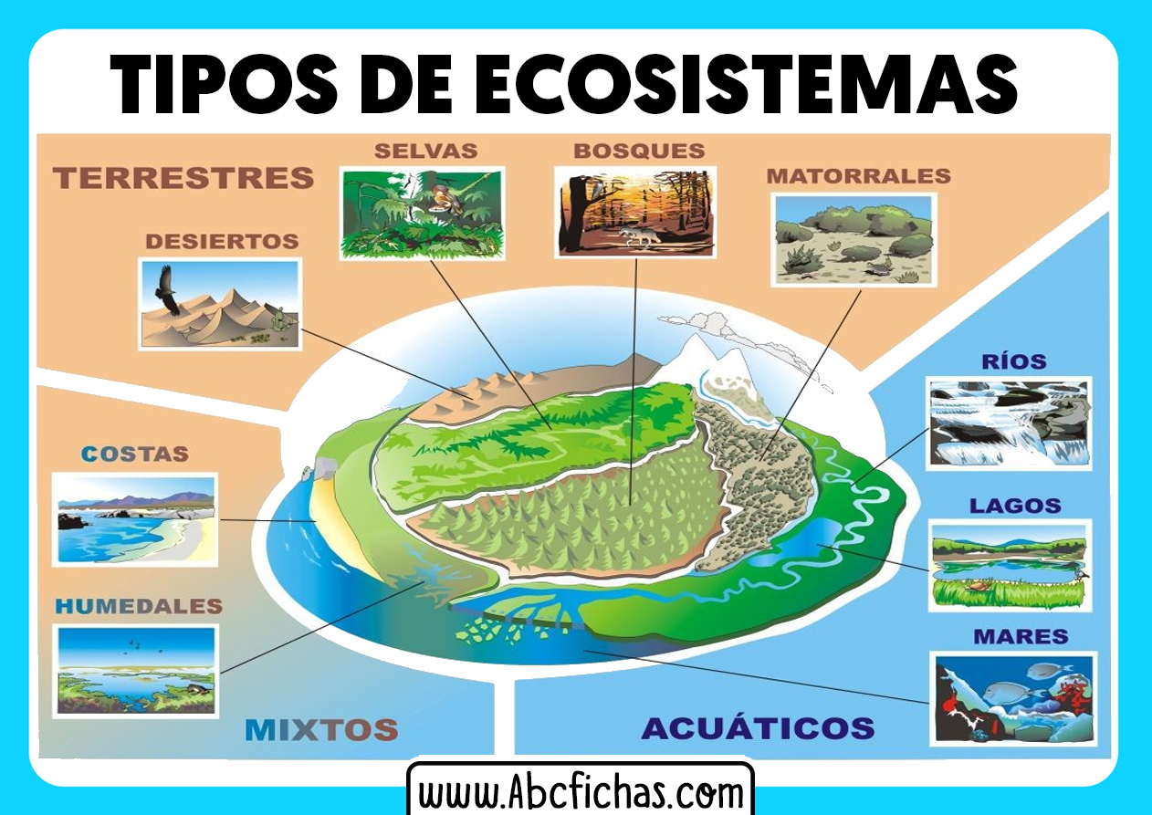 Tipos de ecosistemas que existen