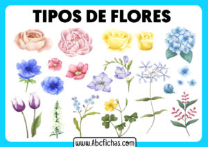 Tipos de flores para dibujar