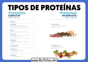 Tipos de proteinas en los alimentos