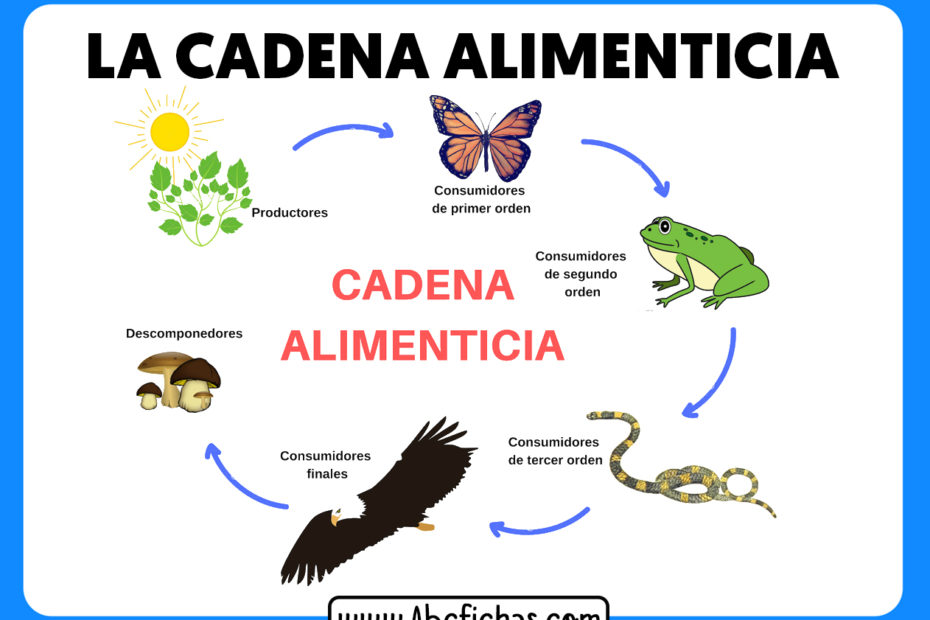 La cadena alimenticia