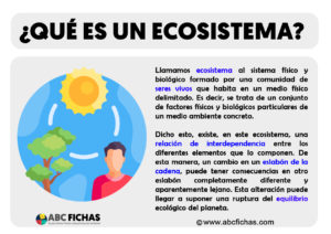 Que es un ecosistema