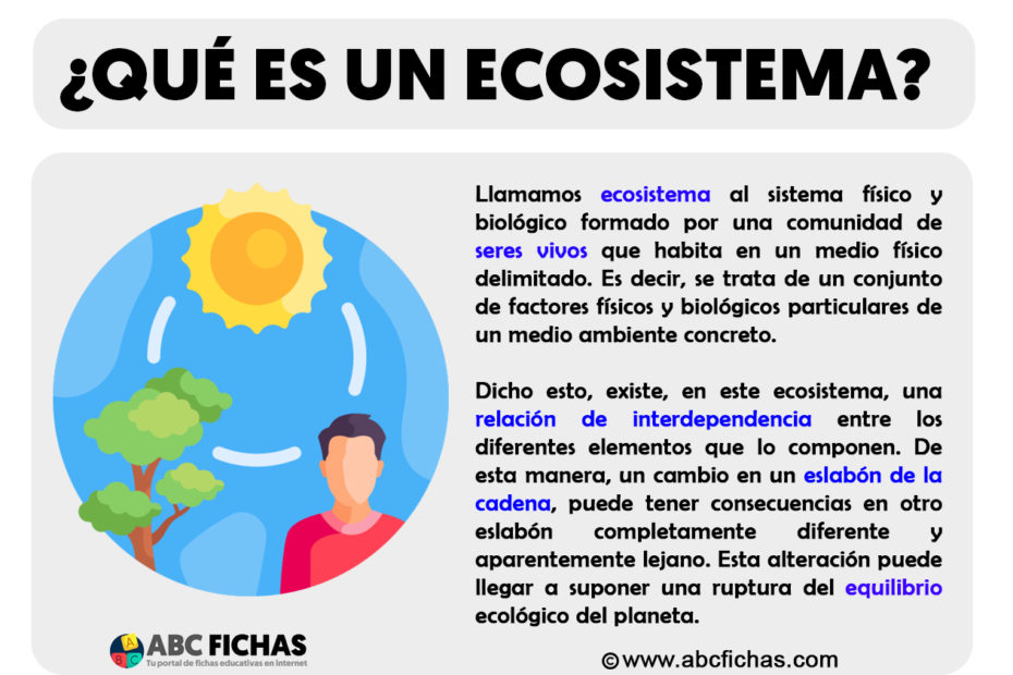 Que es un ecosistema