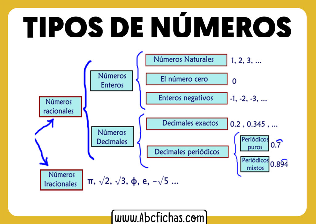 Los tipos de n meros y su clasificaci n con ejemplos
