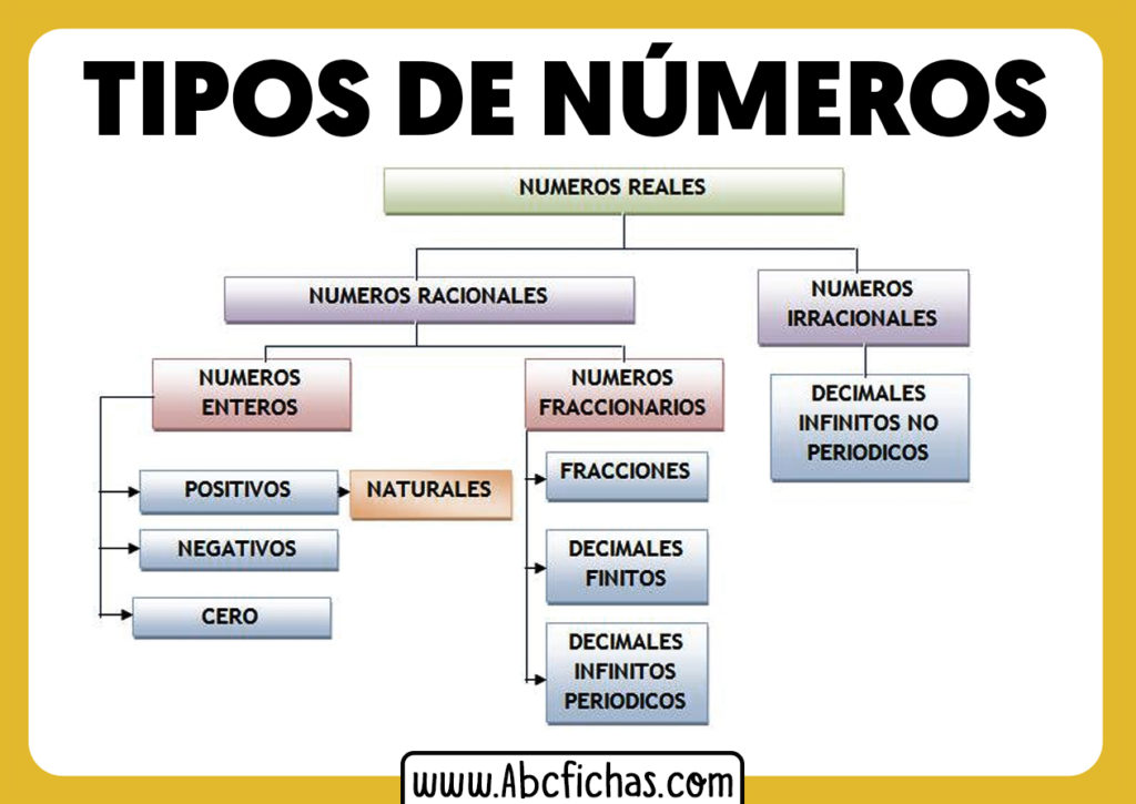 Numeros enteros y racionales