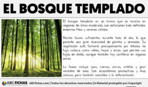 Que es el bosque templado