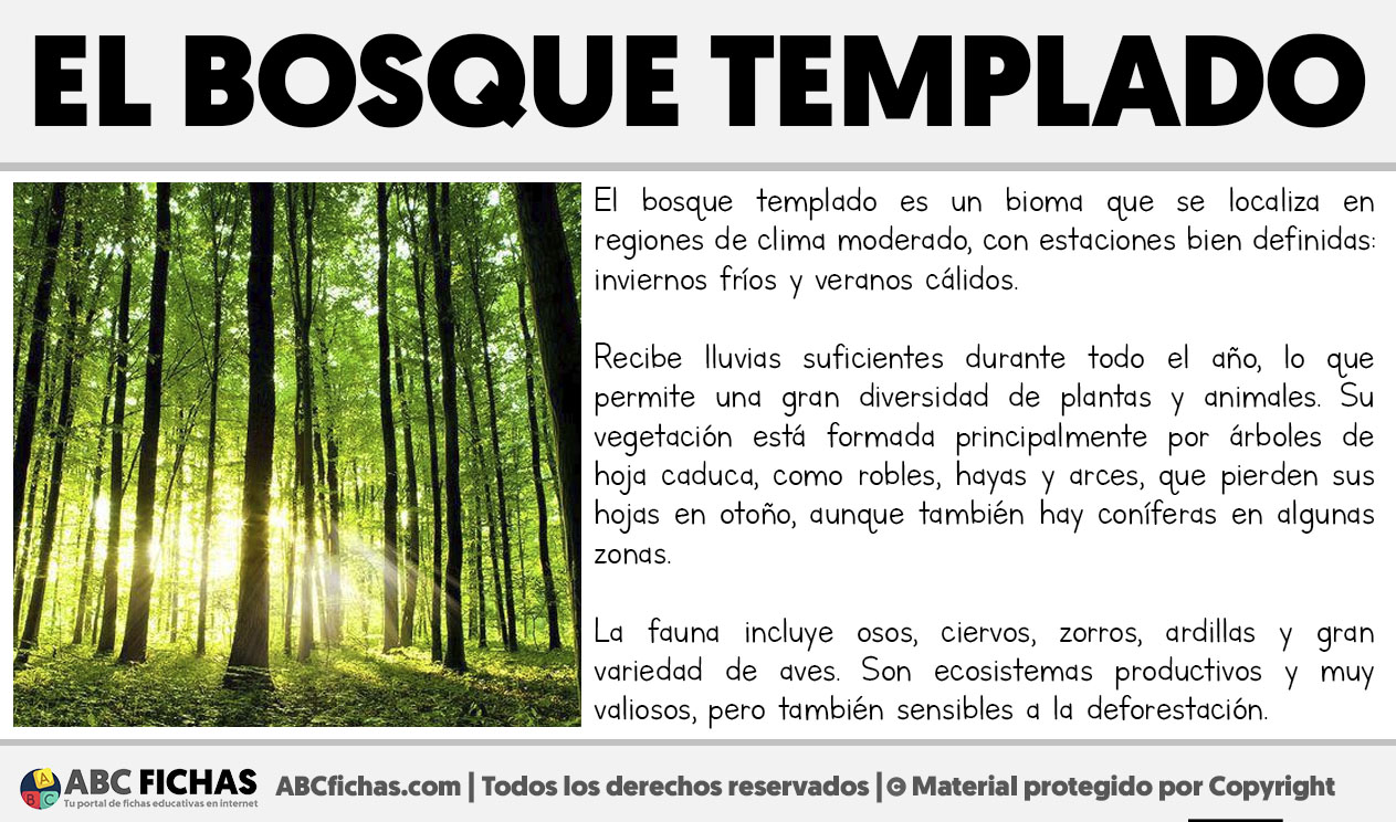 Que es el bosque templado