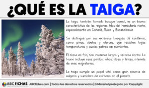 Que es la taiga