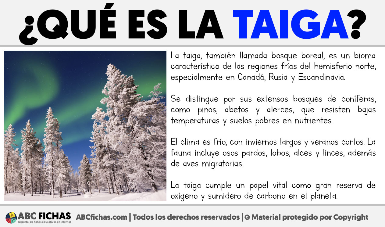 Que es la taiga