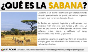 Que es la sabana