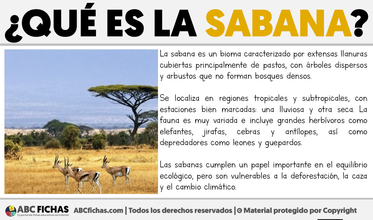 Que es la sabana