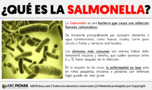 Que es la salmonella