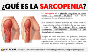 Que es la sarcopenia