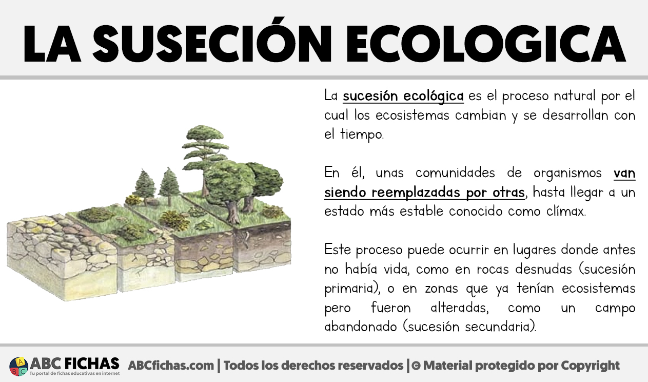 Que es la sucesion ecologica