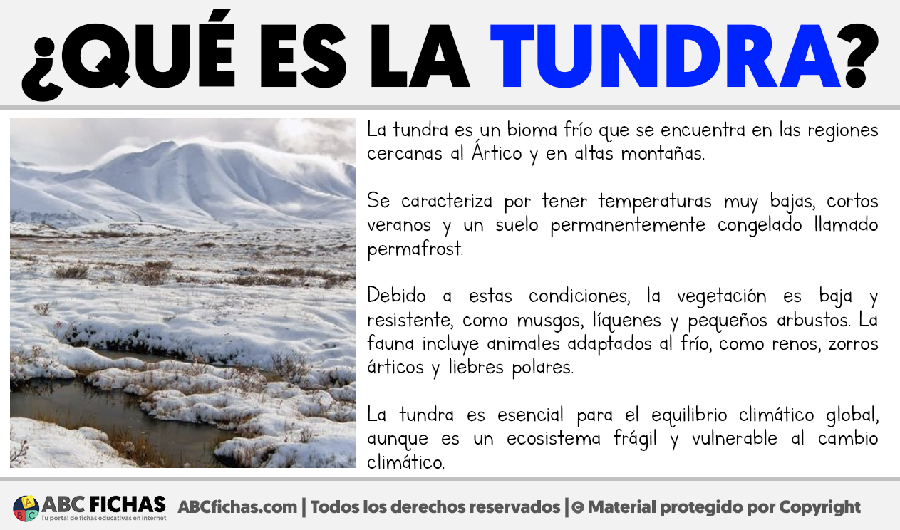 Que es la tundra
