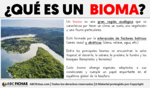 Que es un bioma