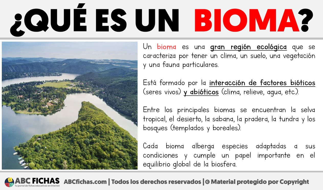 Que es un bioma