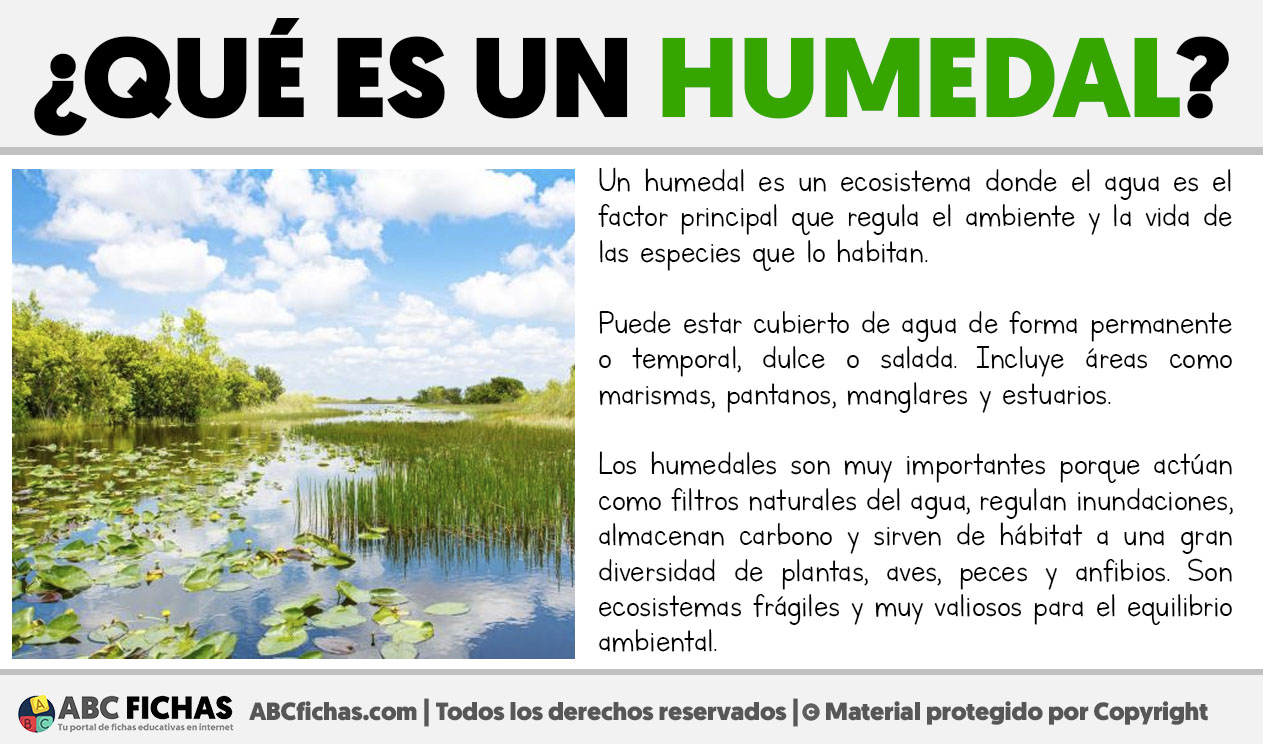 Que es un humedal