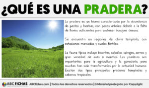 Que es una pradera