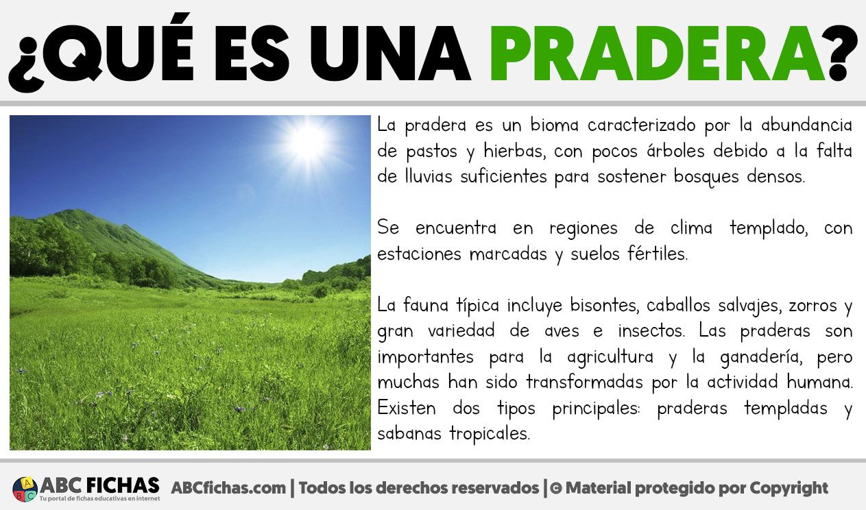 Que es una pradera