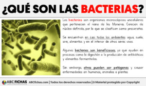 Que son las bacterias