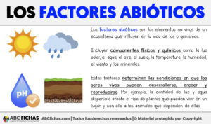 Que son los factores abioticos