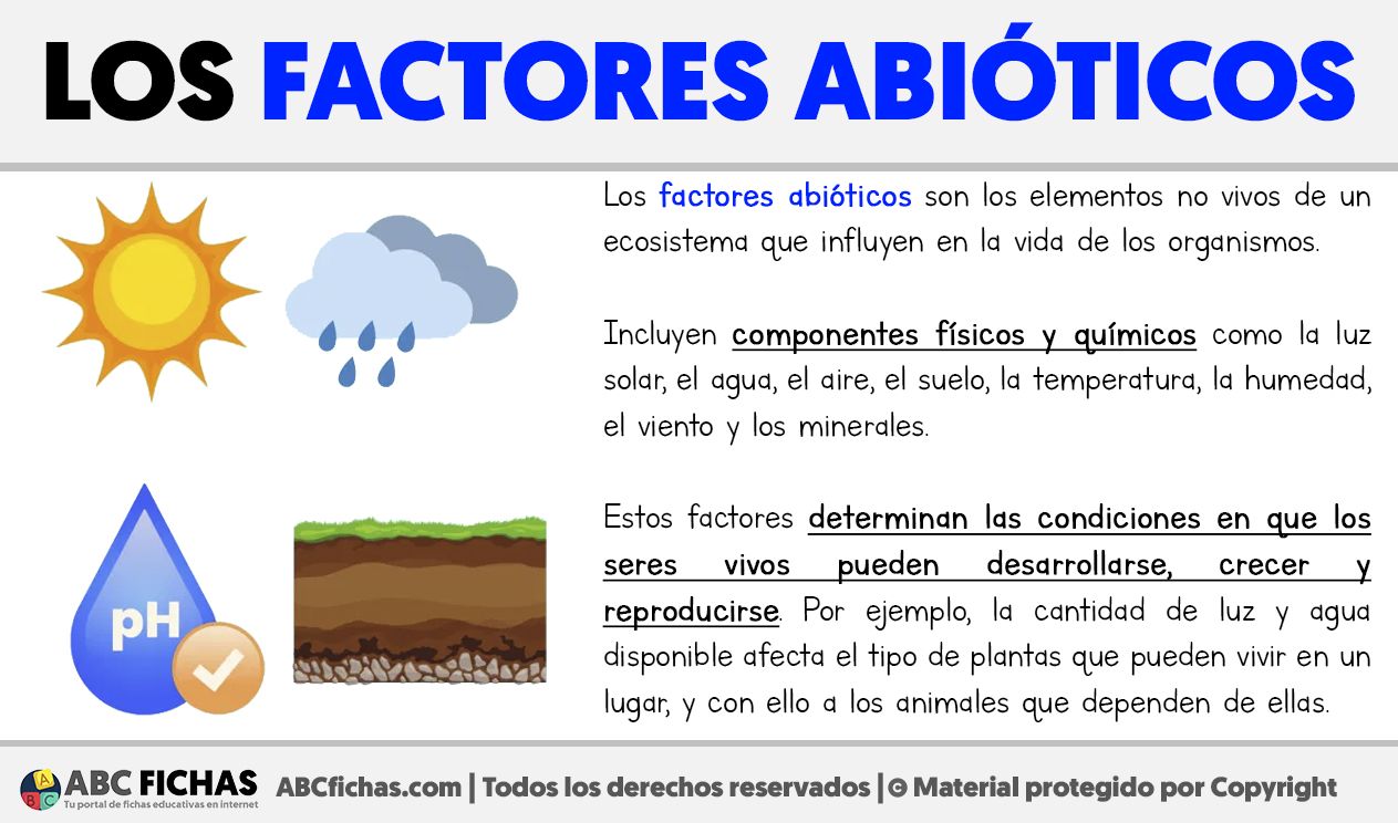 Que son los factores abioticos