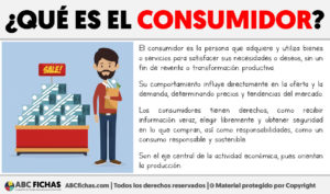 Que es el consumidor