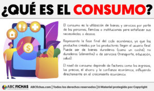 Que es el consumo